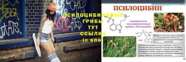 эйфоретик Балахна