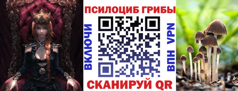 MEGA онион  Никольск  Галлюциногенные грибы мухоморы 